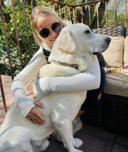 Happy Labrador Retriever